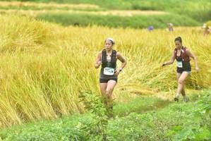 BIB: 107
                            <button type="button" onclick="openModal(13434255)" class="btn btn-primary btn-sm float-right btn-popup" data-toggle="modal" data-target=".modal-high-quality">
                        <i class="fas fa-shopping-cart"></i> Add to Cart
                    </button>
                                            <button type="button" onclick="isThisMe(13434255, true)" class="btn btn-success btn-sm float-right btn-popup btn-isme hidden" data-toggle="tooltip" data-placement="bottom" title="นี่คือรูปของคุณใช่ไหม คลิกที่นี่เพื่อเอาเข้าอัลบั้ม">
                        <i class="fas fa-plus"></i> Add to album
                    </button>
                    <button type="button" onclick="isThisMe(13434255, false)" class="btn btn-warning btn-sm float-right btn-popup btn-isnotme hidden">
                        <i class="fas fa-ban"></i> Remove from album
                    </button>